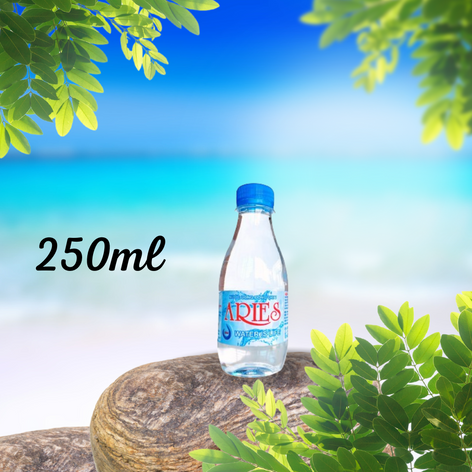 Lốc suối 250ml (24 chai) - Nước Uống Tinh Khiết Aries - Công Ty TNHH Sản Xuất Thương Mại Chính Văn